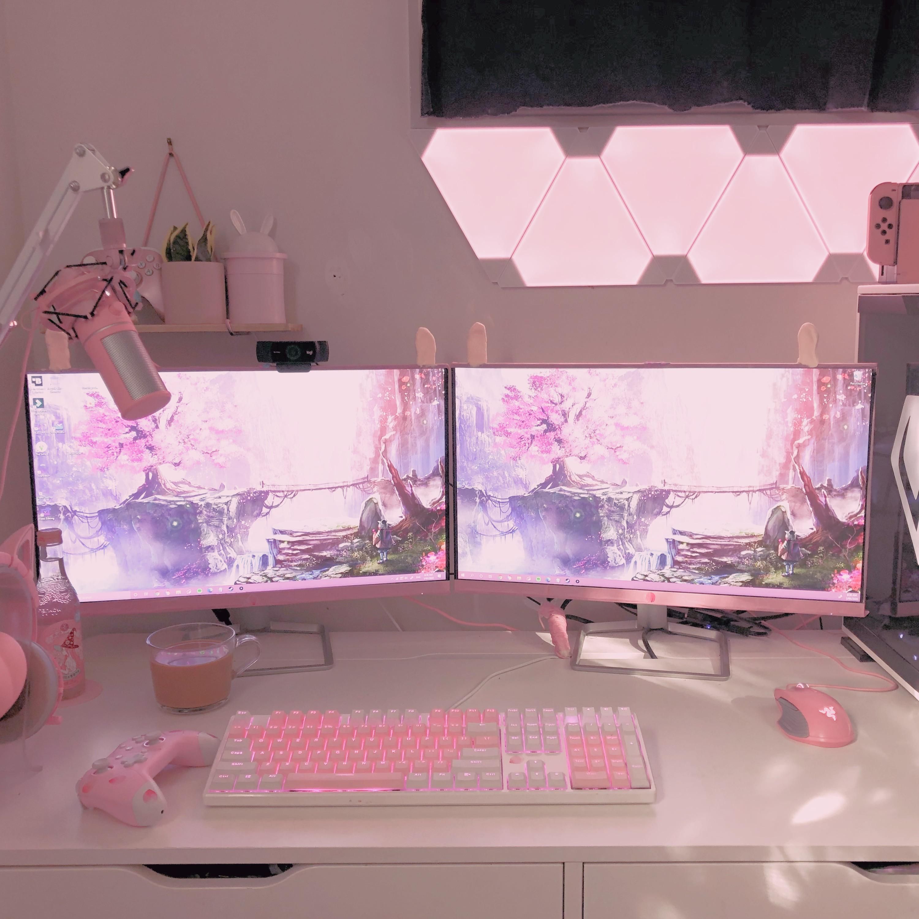 Featured image of post Aesthetic Pink Gamer Setup