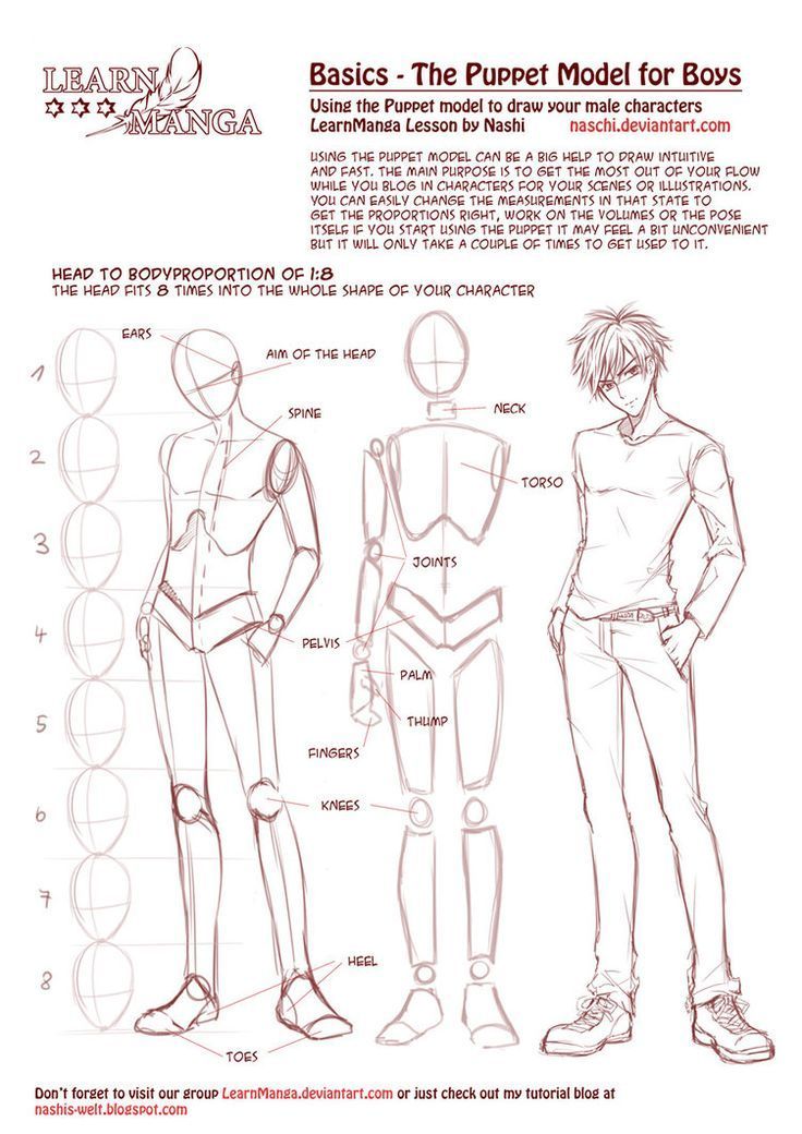 Featured image of post Anime Male Torso Anatomy