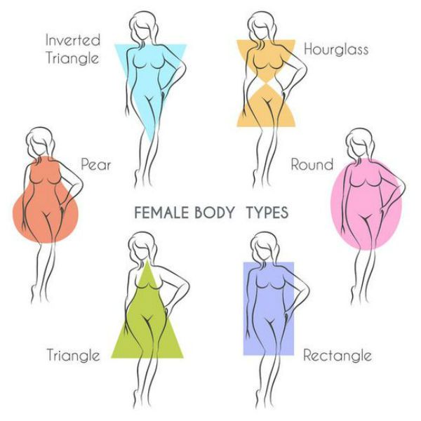 Featured image of post Female Body Types Chart Drawing