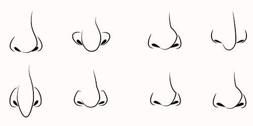 Featured image of post Female Cartoon Noses Drawing