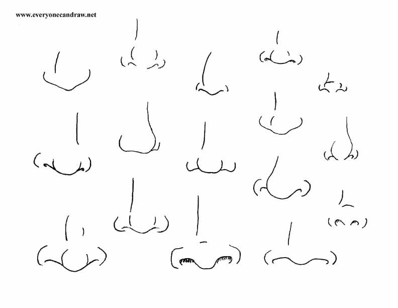 Featured image of post How To Draw A Nose Simple Cartoon