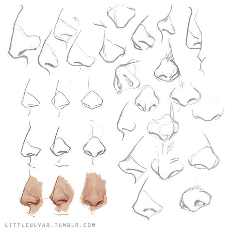 Featured image of post Male Nose Reference Drawing