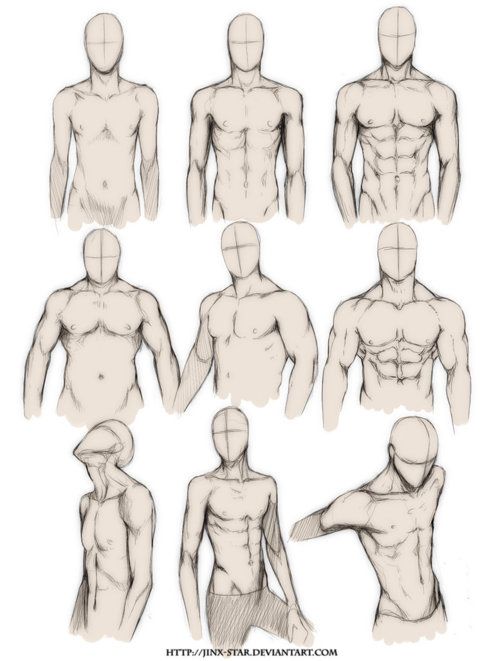 Featured image of post Male Torso Anime Body Reference Male