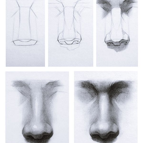 Featured image of post Realistic Nose Reference Drawing